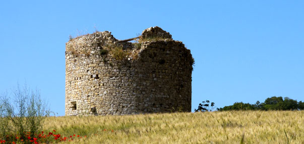 TORRE